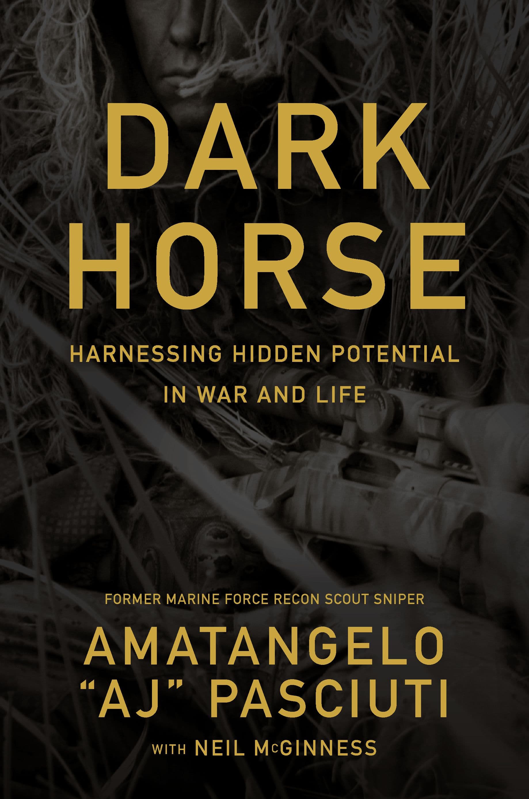 Dark Horse — Harnessing Hidden Potential in War and Life by AJ Pasciuti